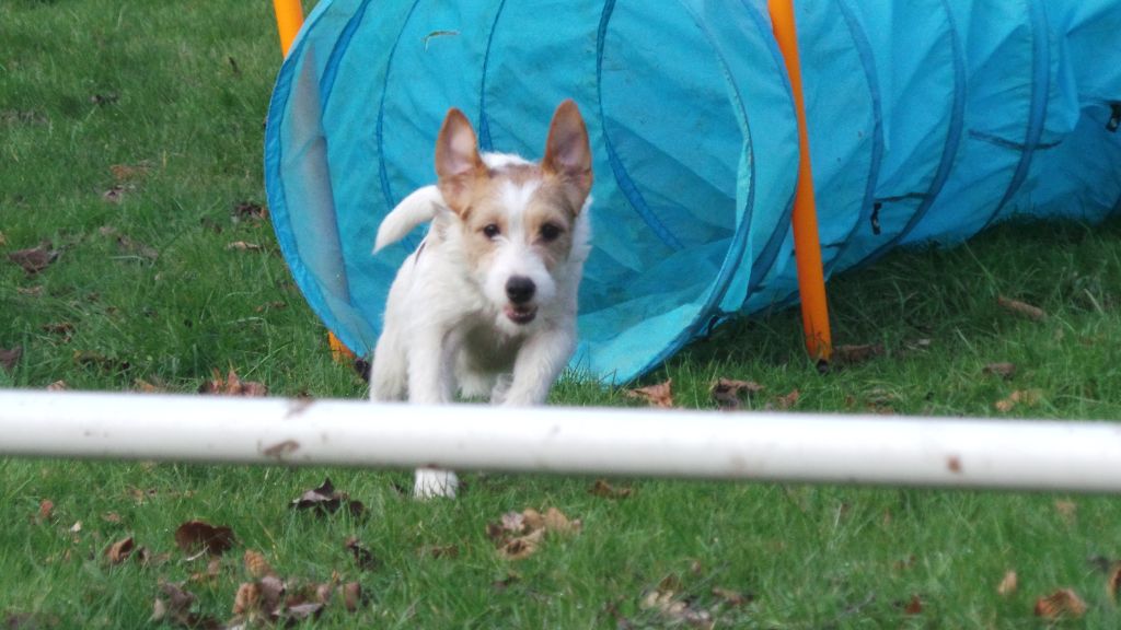 Little jedi obi-wan kenobi de Beloray