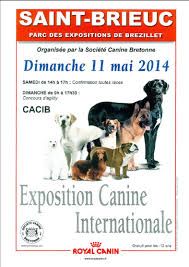 de Beloray - Exposition de Saint Brieuc